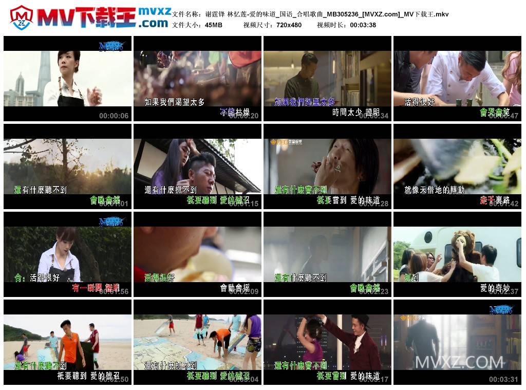 谢霆锋 林忆莲-爱的味道_国语_合唱歌曲_MB305236